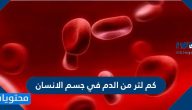 كم لتر من الدم في جسم الانسان
