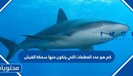 كم هو عدد العظمات التي يتكون منها سمكة القرش