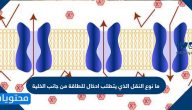 ما نوع النقل الذي يتطلب ادخال للطاقة من جانب الخلية