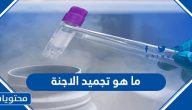 ما هو تجميد الاجنة ؟ وخطوات عملية تجميد الأجنة بالتفصيل