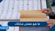 ما هو معنى شانئك وما هي الدروس المستفادة من آية إن شانئك هو الأبتر