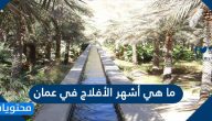 ما هي أشهر الأفلاج في عمان