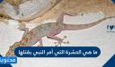 ما هي الحشرة التي أمر النبي بقتلها