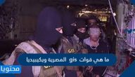 ما هي قوات gis المصرية ويكيبيديا