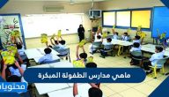 ماهي مدارس الطفولة المبكرة