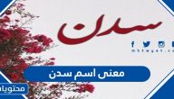 معنى اسم سدن وحكم التسمية به في الإسلام وصفات حاملته وشخصيتها