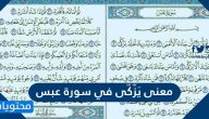 معنى يَزَّكَّى في سورة عبس