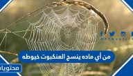 من أي ماد ينسج العنكبوت خيوطه