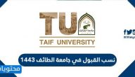 نسب القبول في جامعة الطائف 1443