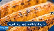 هل الذرة المشوى يزيد الوزن
