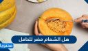 هل الشمام مضر للحامل وفوائد الشمام للحامل وأضراره