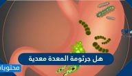 هل جرثومة المعدة معدية
