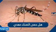 هل حمى الضنك معدي؟ وكيفية الوقاية من الإصابة بحمى الضنك