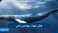 هل حوت يونس حي
