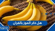 هل ذكر الموز بالقران