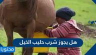 هل يجوز شرب حليب الخيل
