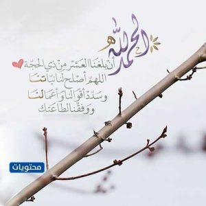 أفضل ذكر في العشر من ذي الحجة موقع محتويات