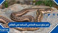 كم تبلغ نسبه الافاعي السامة في العالم