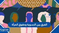 الفرق بين النسوية وحقوق المرأة