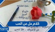 كلام حلو عن الحب .. أجمل كلمات وعبارات وأقوال عن الحب