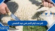 كم عدد ايام النحر في عيد الاضحى
