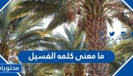 ما معنى كلمة الفسيل