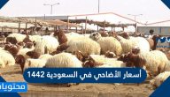 أسعار الأضاحي في السعودية 1442 وكيفية حجز الأضحية إلكترونيًا