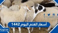 أسعار الغنم اليوم 1442