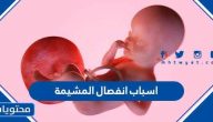 ما هي اسباب انفصال المشيمة
