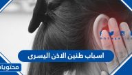اسباب طنين الاذن اليسرى وطرق الوقاية من طنين الأذن اليسرى