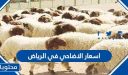 اسعار الاضاحي في الرياض 2026 /1447