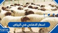 اسعار الاضاحي في الرياض 2025 /1446