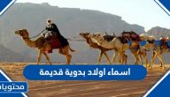 اسماء اولاد بدوية قديمة