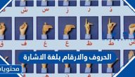 الحروف والارقام بلغة الاشارة