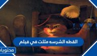 القطة الشرسة مثلت في فيلم