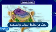 بحث عن خلايا النباتات وانسجته