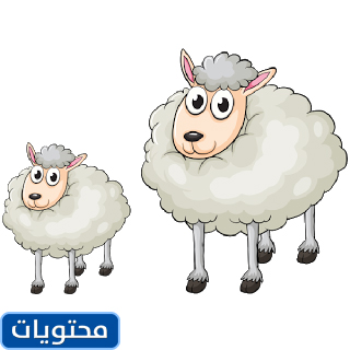 ثيم خروف العيد