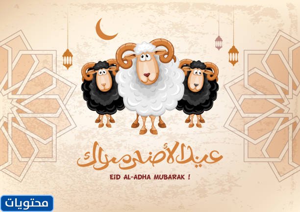أجمل ثيمات عيد الاضحى المبارك