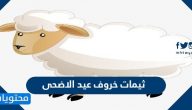 ثيمات خروف عيد الاضحى 2025 .. واجمل صور وخلفيات خروف العيد 1446 جاهزة للطباعة