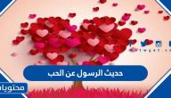 حديث الرسول عن الحب