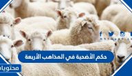 حكم الأضحية في المذاهب الأربعة