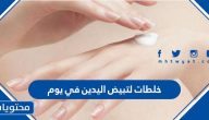 أفضل 6 خلطات لتبيض اليدين في يوم
