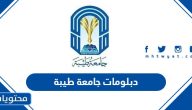 دبلومات جامعة طيبة 1446