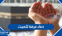 دعاء عرفة للميت مكتوب .. افضل الادعية المستجابة للمتوفي في يوم عرفه
