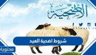 شروط اضحية العيد