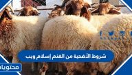 شروط الأضحية من الغنم إسلام ويب