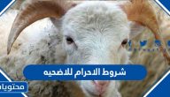 شروط الاحرام للاضحيه ووقتها
