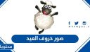 صور خروف العيد 2026 .. اجمل بوستات خروف عيد الاضحى 1447