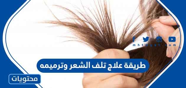 طريقة علاج تلف الشعر وترميمه
