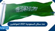 عدد سكان السعودية 2025 المواطنين
